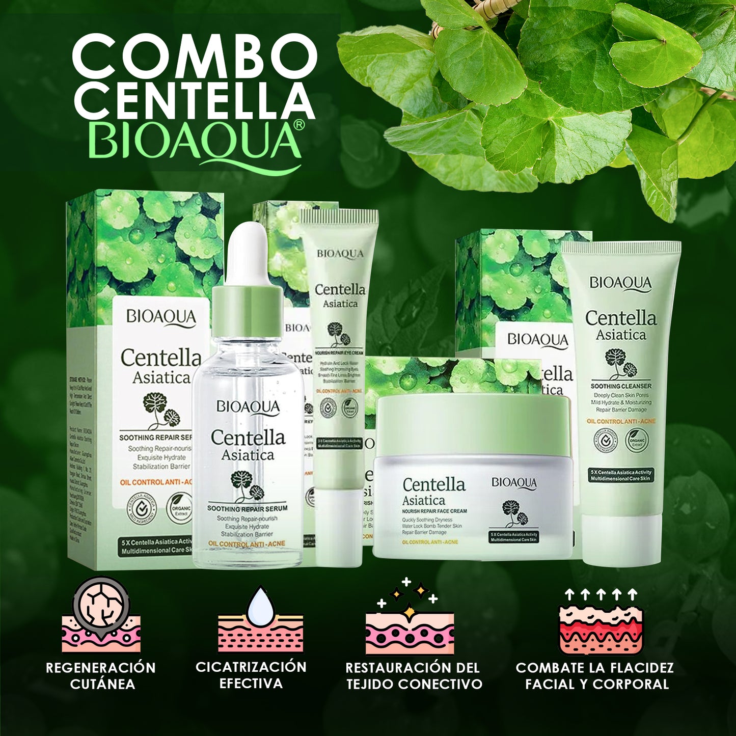 Combo Centella Asiatica X5 Caja
